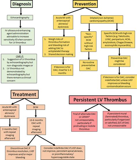 lv apical thrombus treatment